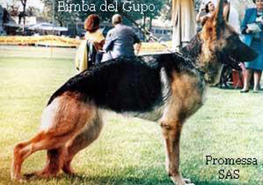 Bimba del Gupo