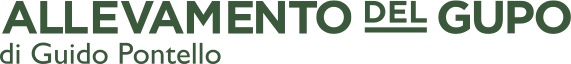 Logo Allevamento del Gupo